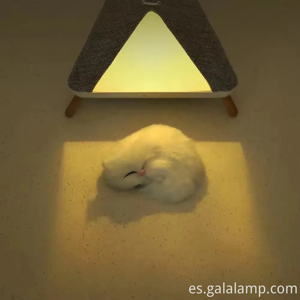 Tienda de altavoz Bluetooth portátil con colorida luz nocturna LED